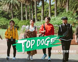 反差婊《TOP DOG》免费在线观看