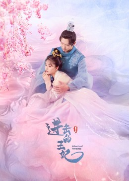 午夜探花《进击的王妃》免费在线观看