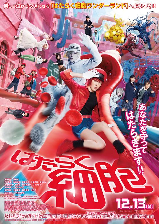 午夜探花《工作细胞 真人版 はたらく細胞》免费在线观看