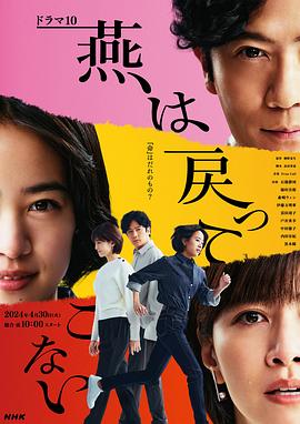 午夜探花《燕子不再归来》免费在线观看