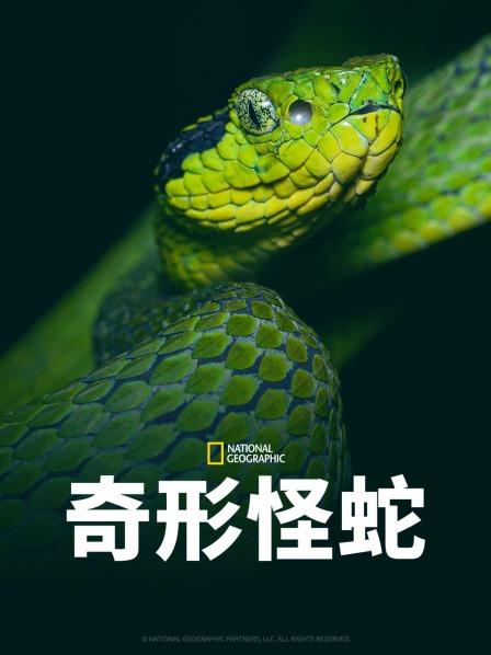 吃瓜51爆料网《奇形怪蛇》免费在线观看